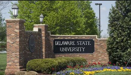 Two Patents Awarded to Delaware State University